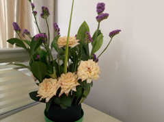 <b>�廨���Ʒ���գ�</b>